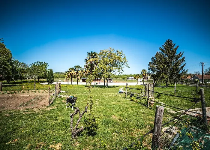 Les De Lily 3* Carresse