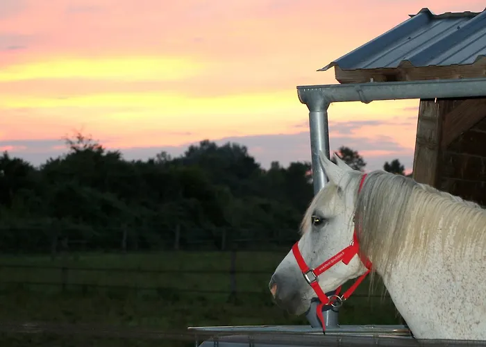 Les De Lily 3* Carresse